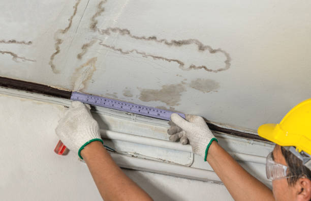 Reliable Water Damage Restoration contractor in Man, WV by Water Damage Irwin